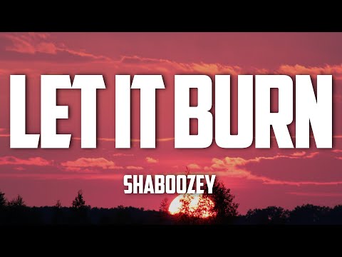 Shaboozey - Let It Burn (Lyrics)