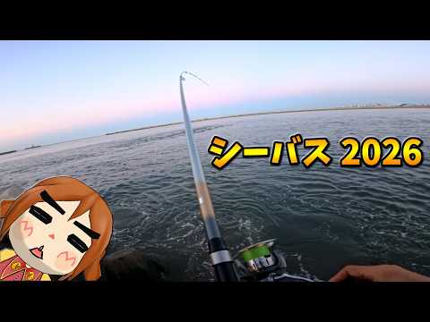 シーバス ウキ釣り2026(デカイの釣れたが…やはりリハビリ釣行だった件)