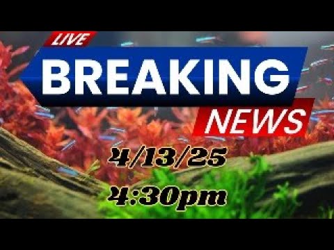 Hot Takes & Good Vibes – Join the Stream! 🐡 Channel Sponsor Buceplant - http_//tinyurl.com/3fu6xckd They have an amazing selection of plant