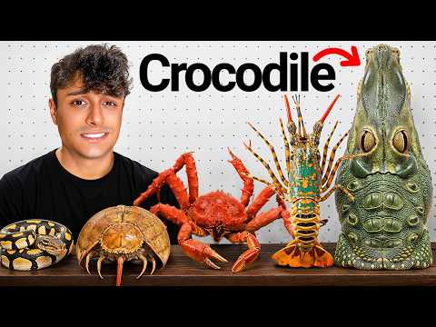I Cooked Every Exotic Animal!