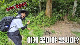 ※ 신기함 주의) 야생에 이런게 살아가고 있다니... 오줌 지릴뻔했습니다