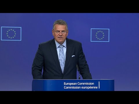 EU cars and pharmaceuticals get 15% tariff under US trade deal | AFP