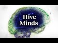 Consciousness and the Brain