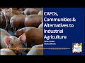 Community Challenges and CAFO Impacts