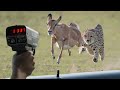 Animal Speed Records