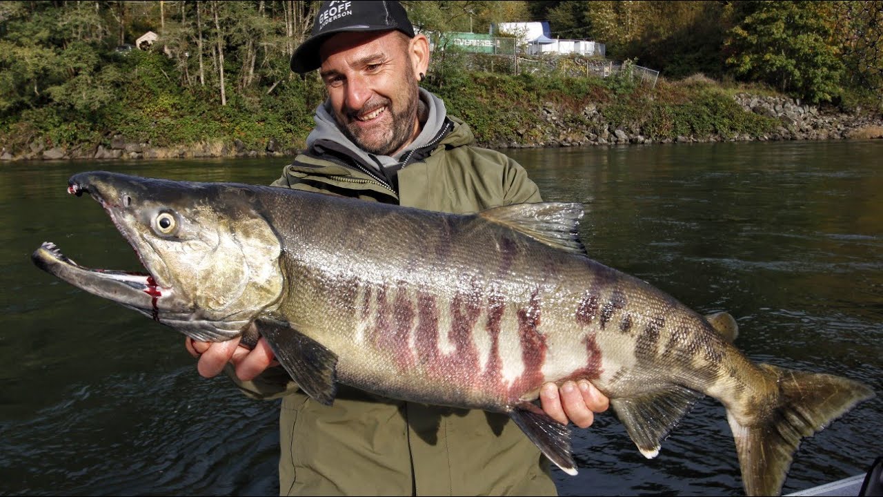 Salmon fishing in canada on the fraser river - 4k by catfish world