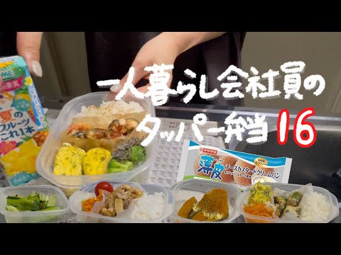 一口コンロで作るタッパー弁当🍆第十六弾