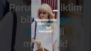 Penyebab harga kopi naik ternyata...