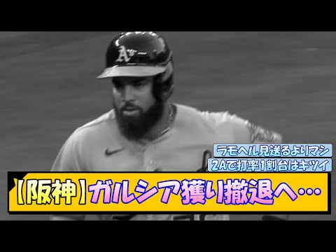 【阪神】ガルシア獲り撤退へ…【なんJ/2ch/5ch/ネット 反応 まとめ/阪神タイガース/藤川球児】