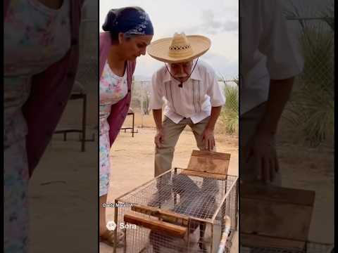 IA recreación de una experiencia de un seguidor #dantemoran #paranormal