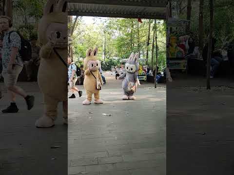 💥💥 Joget Ceria Badut Kuromi Kembar, Pororo Pink Keropi Lucu Boboiboy Bus Tayo #badutjoget #badut