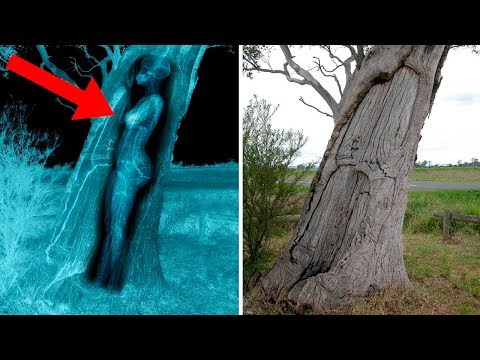 5 Descubrimientos Arqueológicos INEXPLICABLES