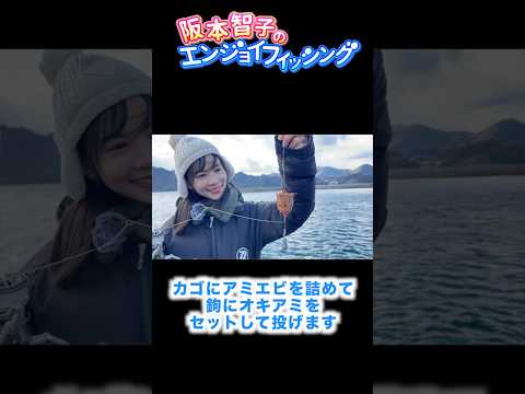 真冬の海で魚を手堅く釣る方法 #ライトカゴ釣り #アミエビ #カゴ釣り