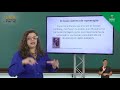 Understanding the Number System