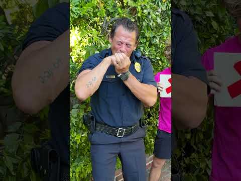 Who Destroyed My Lamborghini?