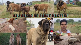 Subah pets k sath 😍 ! dailyvlog ! Rahul pets   #vlog #pets
