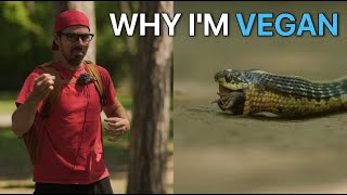 How I Know a Vegan Diet is Healthiest