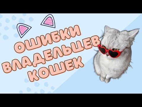 Ошибки владельцев кошек / Смешные коты - Майя #кот #кошка