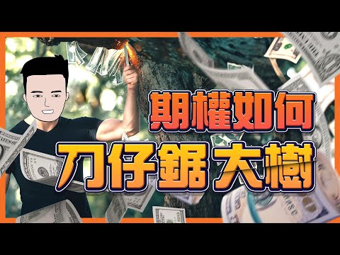 【投資新手101】10分鐘教學認識期權！