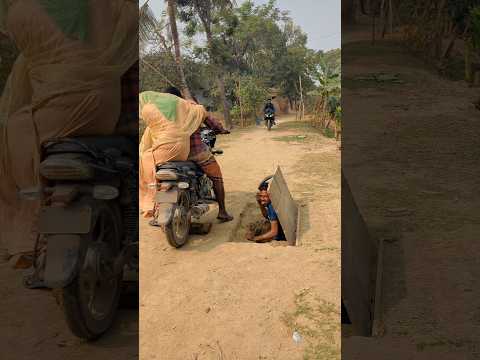 Why does a beetle put banana trees under a motorcycle?