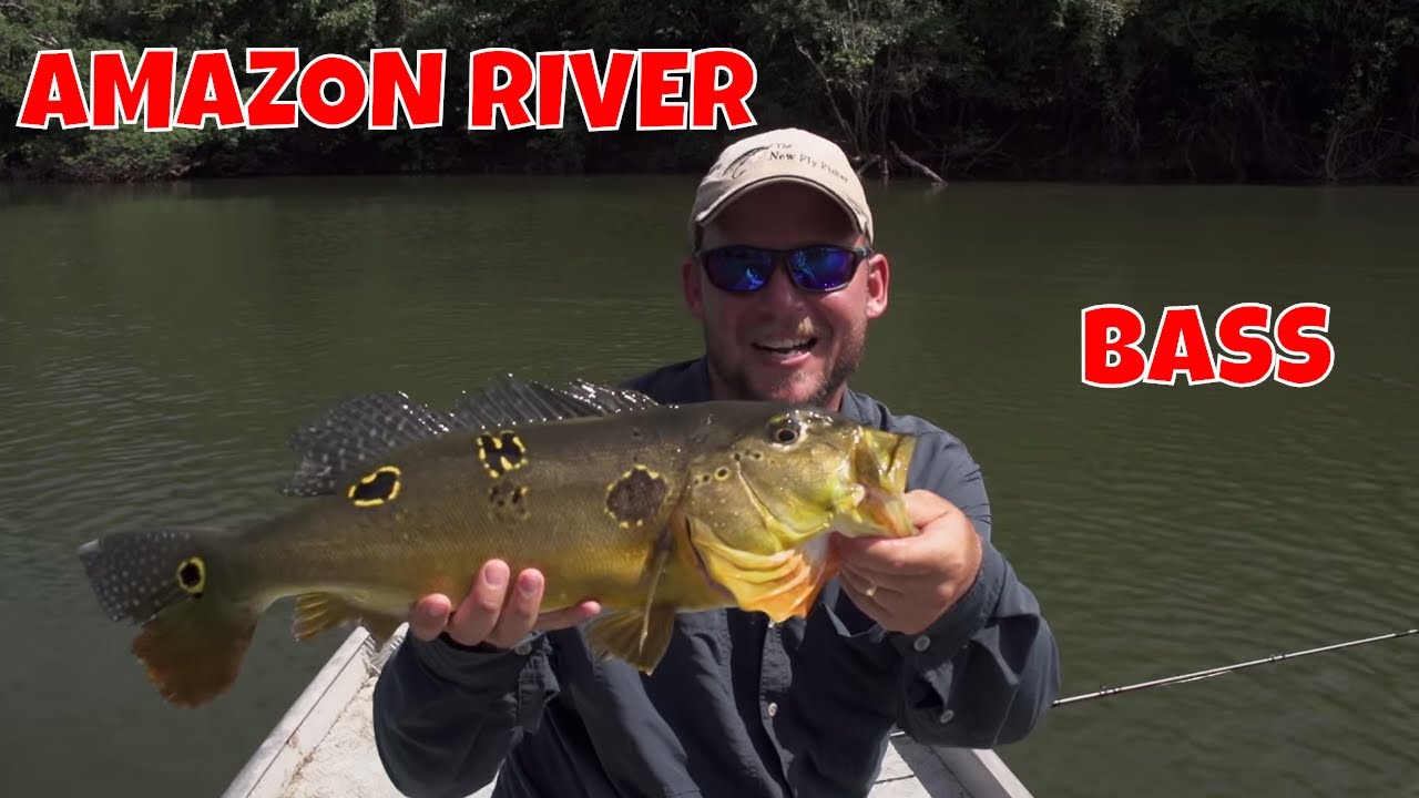 Amazon River Brazil - The New Fly Fisher