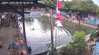 Monkey escapes cage causing panic at fishing area in Yogyakarta, Indonesia