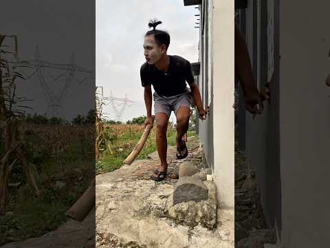 Cemong Mulai Curiga Sama Seseorang, Tapi Ending-nya Bikin Ketawa! #shortvideo #shorts #lucu