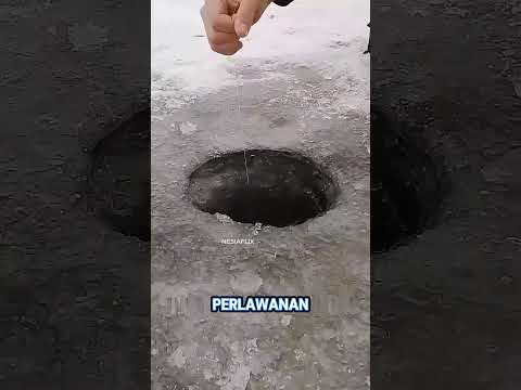 lubang sebesar ini mengeluarkan monster raksasa!