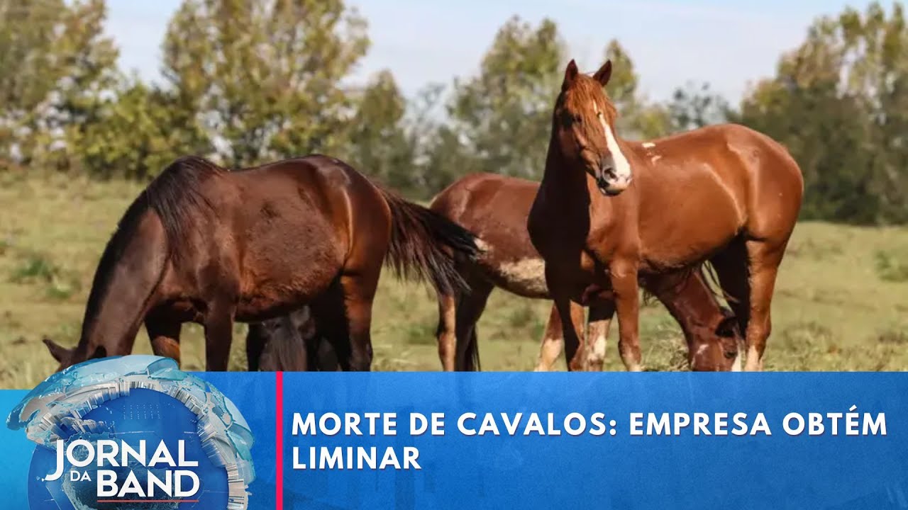 Morte de cavalos empresa obtém liminar