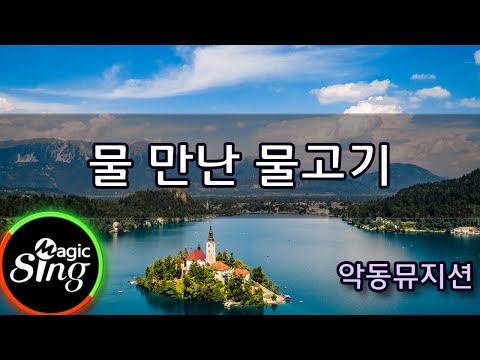 [매직씽아싸노래방] 악동뮤지션  – 물만난물고기  노래방(karaoke) | MAGICSING