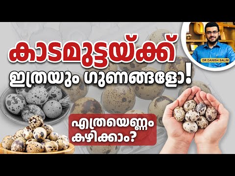 2358 : കാടമുട്ട ദിവസവും കഴിക്കുന്നത് നല്ലതാണോ ? | Is it good to eat quail eggs every day?