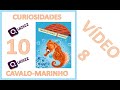 Cavalos Marinhos: Reproduçāo e Cuidados