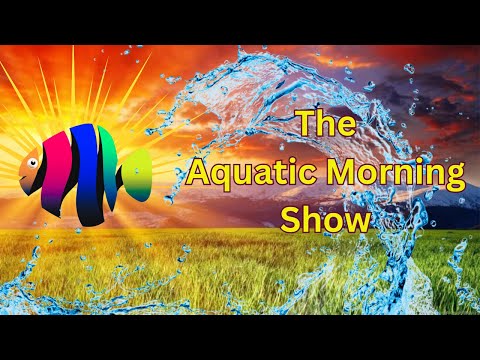 The Aquatic Morning Show Join us every weekday morning to start your day off the right with a stream dedicated to the captiva