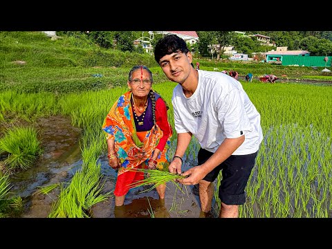 Gaon me kia khet me kaam with amma 😍 