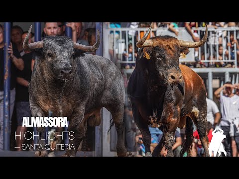 TOROS EN ALMASSORA 💥 ▶ Diferentes ganaderías