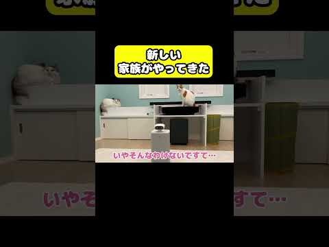 猫の動画サムネイル - 新しい家族がやってきた　#猫 #おもしろ #アテレコ #ニャンチューバーつくし