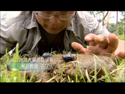 科學再發現 生態清道夫-民視新聞 - YouTube(2分56秒)