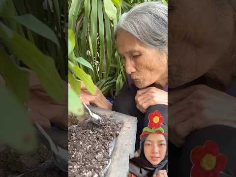 Nenek makan tanah ‼️#trending #trendingshorts