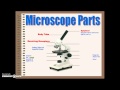 Exploring the Parts of the Microscope