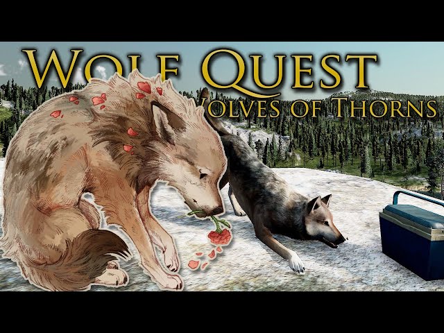 Stumbling on MYSTERIOUS Human Secrets?! ? Wolf Quest: Wolves of Thorns • #43