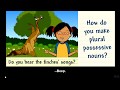 Exploring Plural Possessive Nouns