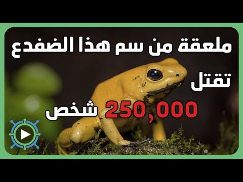 ما لا تعرفه عن العالم | ج3