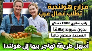 هاجر و اشتغل في مزارع هولندا مقابل راتب شهري و سكن و الفيزا| بدون شروط اطلاقا و لكل الجنسيات العربية