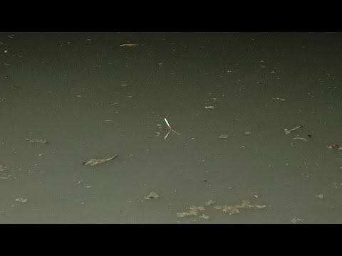 Primitive Fishing By Akib is live