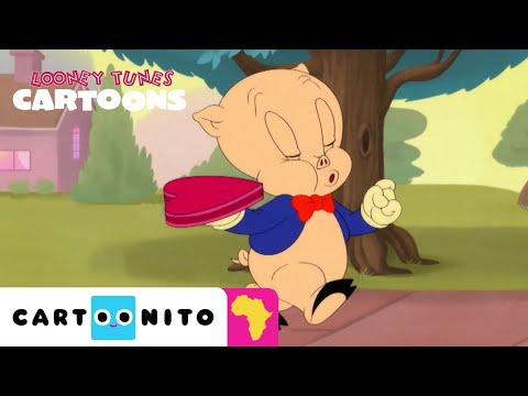 Porky's Chocolates | Looney Tunes Cartoons | Cartoonito Africa