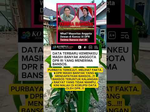 PURBAYA DAN DPR KONOHA #new #ngakak #kdmsociety #viral #lucu #funny #beritaviral #memes #masukberand
