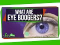 Understanding Eye Boogers