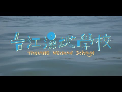 台江濕地學校成果影片（十七分鐘） - YouTube