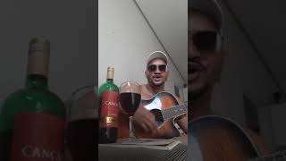 modao baum!!..milionário e José rico🎸🎤