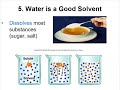 Exploring the Unique Properties of Water